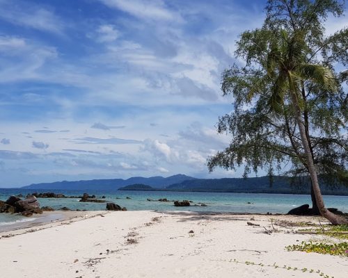 af1qipmijggostwj5rglliyifcdetxifwdbxm_euchgws1600.jpeg