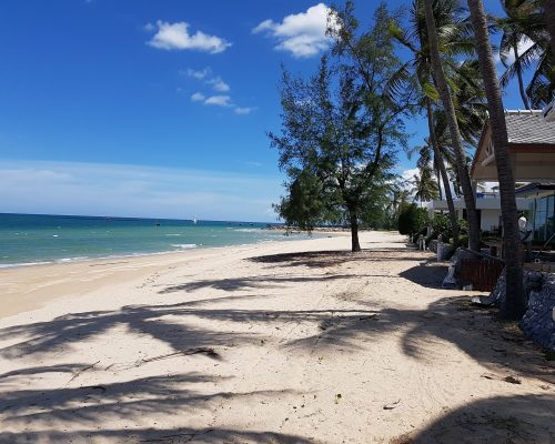 af1qipongzf6srawmx8az0gmmw7nllo4-75-dhbtg-iks1600.jpeg