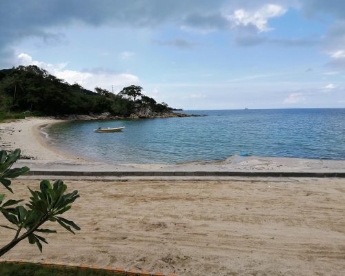 af1qipoxces6oikfnkislui4mczbkocjdxr7nbaepmvls1600.jpeg
