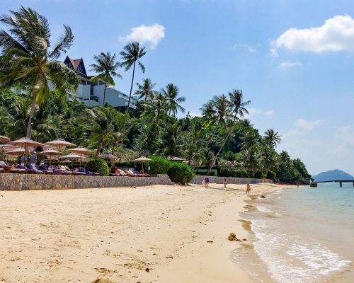 af1qippb__9bdudvn7kw1thtcxnoo1s603zjfsiz1yfps1600.jpeg